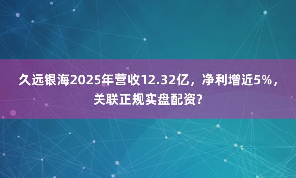 久远银海2025年营收12.32亿，净利增近5%，<a href=