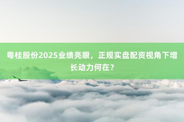 粤桂股份2025业绩亮眼，正规实盘配资视角下增长动力何在？
