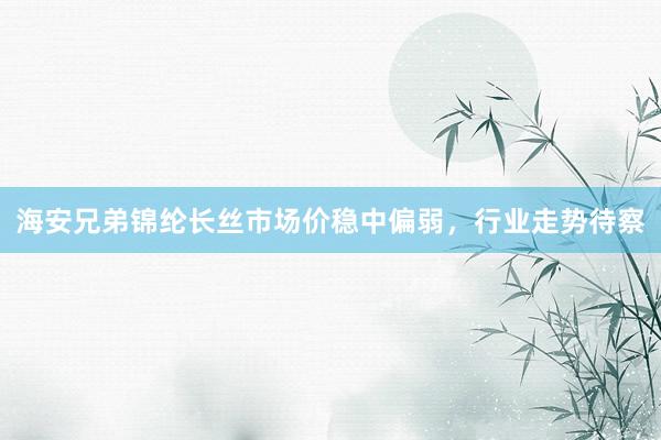 海安兄弟锦纶长丝市场价稳中偏弱，行业走势待察