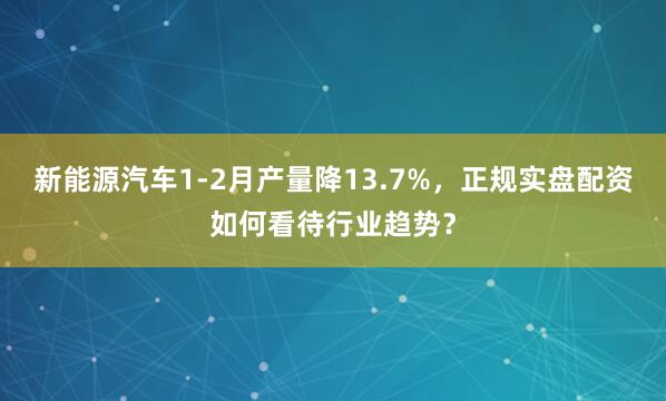 新能源汽车1-2月产量降13.7%，正规实盘配资如何看待行业趋势？