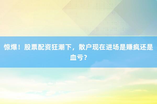 惊爆！股票配资狂潮下，散户现在进场是赚疯还是血亏？