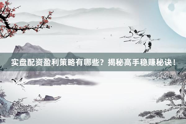 实盘配资盈利策略有哪些？揭秘高手稳赚秘诀！