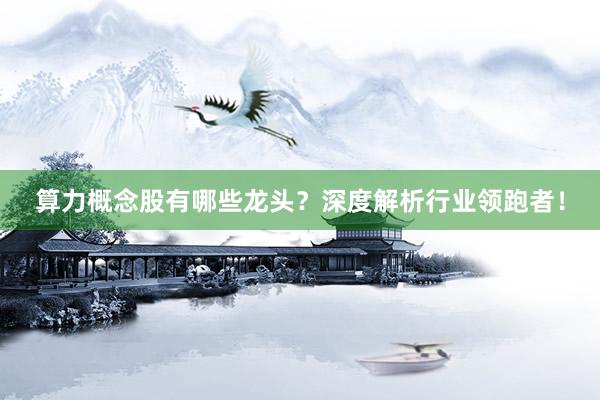 算力概念股有哪些龙头？深度解析行业领跑者！